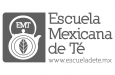 Escuela Mexicana de Te